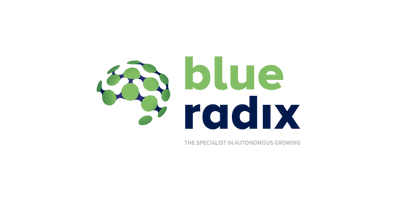 Blue Radix Logo HR